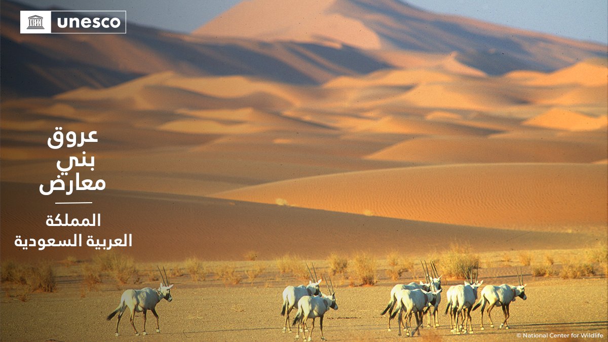 مواقع_التراث_العالمي_في_السعودية_المسجلة_في_اليونسكو