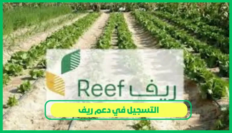     التسجيل في دعم ريف 