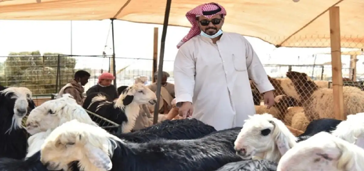 دعم مربي المواشي