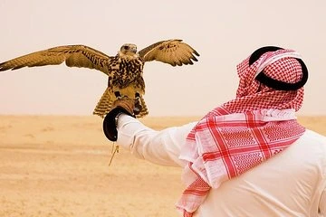 معرض الصقور 2024