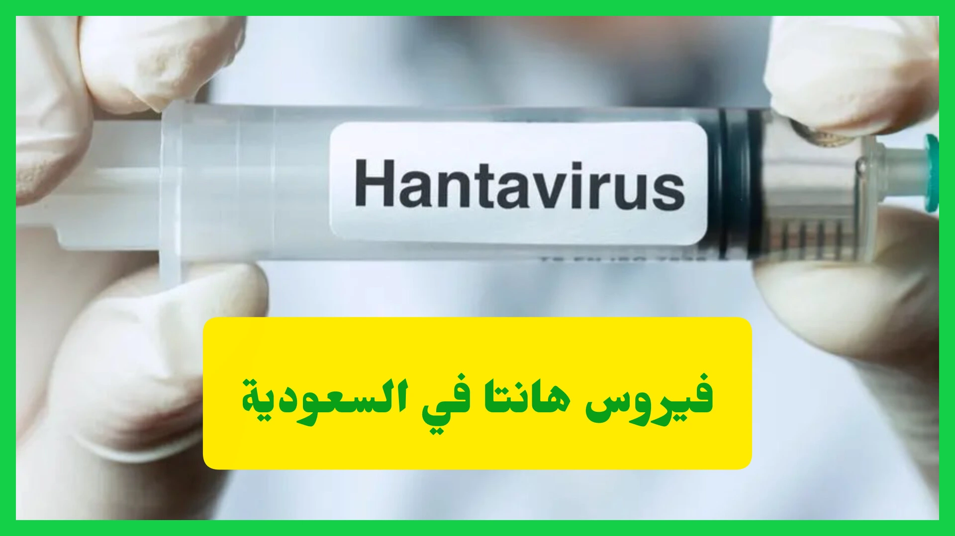   فيروس هانتا في السعودية.. ما الذي يجب أن يعرفه المسافرون في الصيف