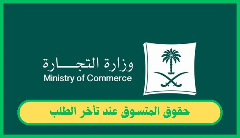   حقوق المتسوق عند تأخر الطلب.. متى يحق لك إلغاء الطلب واسترداد المبلغ