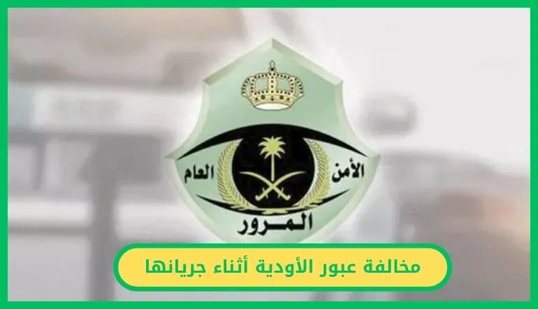   عبور الأدوية أثناء جريانها 