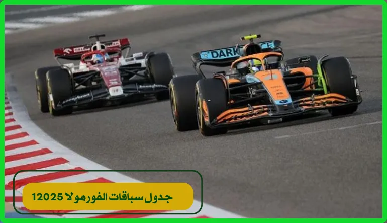 جدول سباقات الفورمولا 1 2025.