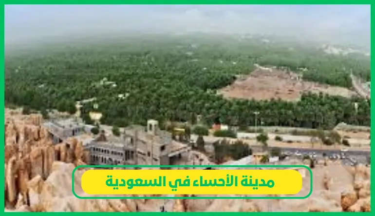  مدينة الأحساء