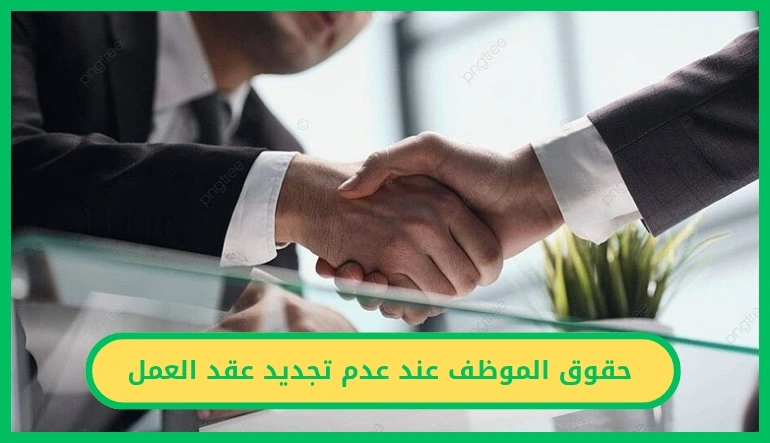   حقوق الموظف عند عدم تجديد عقد العمل.. ما الذي يستحقه العامل نظامًا