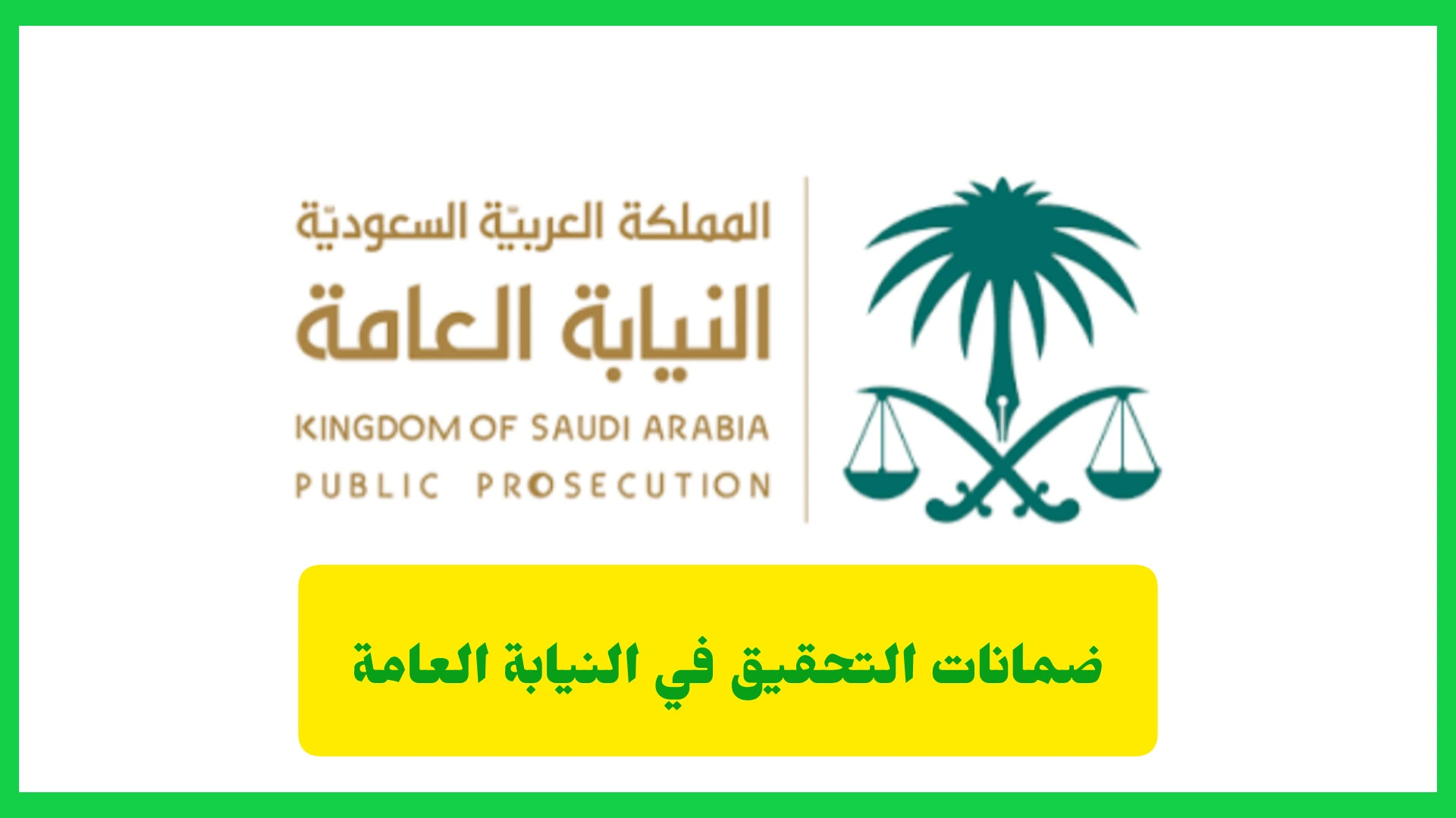 ضمانات التحقيق